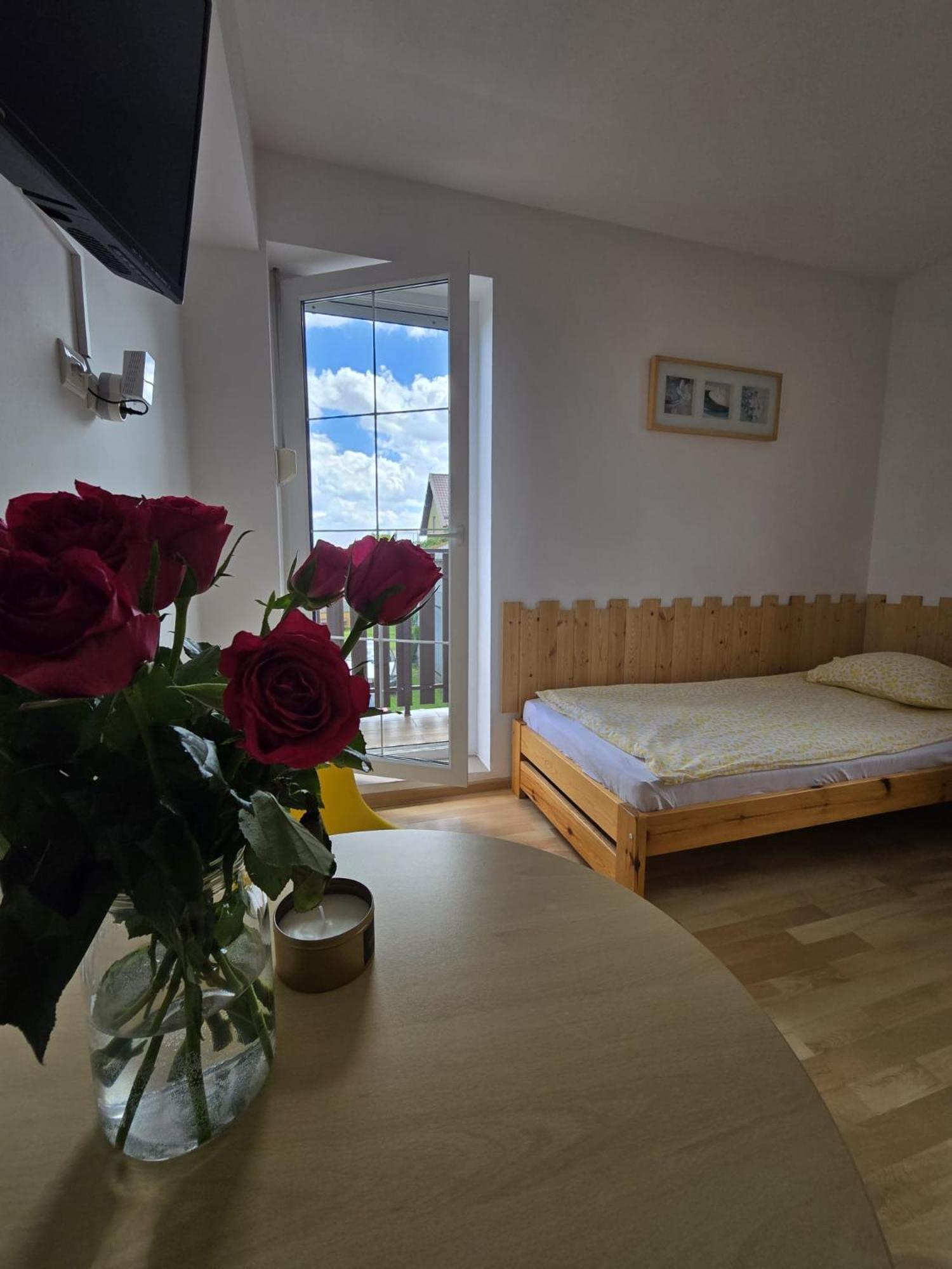 Villa Mango Wladyslawowo Chlapowo エクステリア 写真